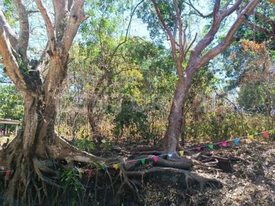 Calle Clavel Fraccion A Lote 282, Comala, Colima 28460, Mexico