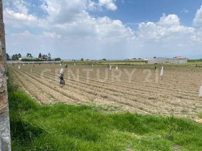 S/N , Toluca, Estado De México 50260, Mexico