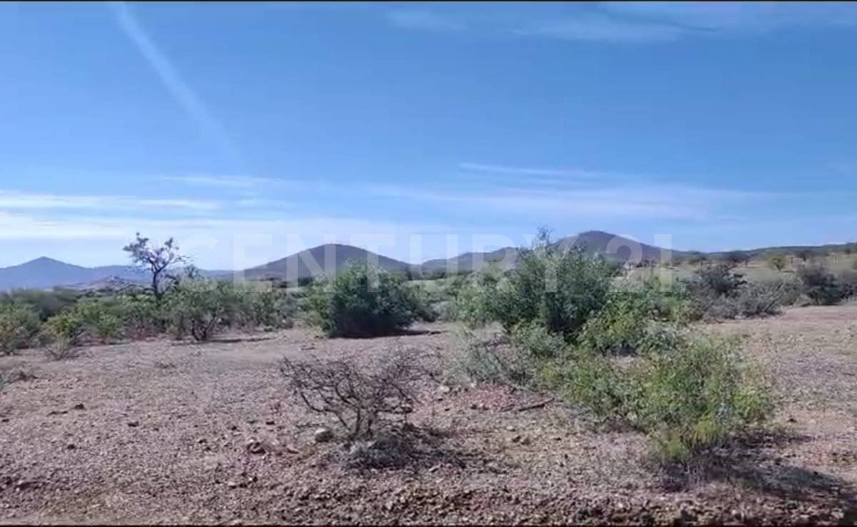 lote 55 55, Chihuahua, Chihuahua 31625, Mexico