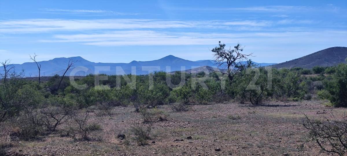 lote 55 55, Chihuahua, Chihuahua 31625, Mexico