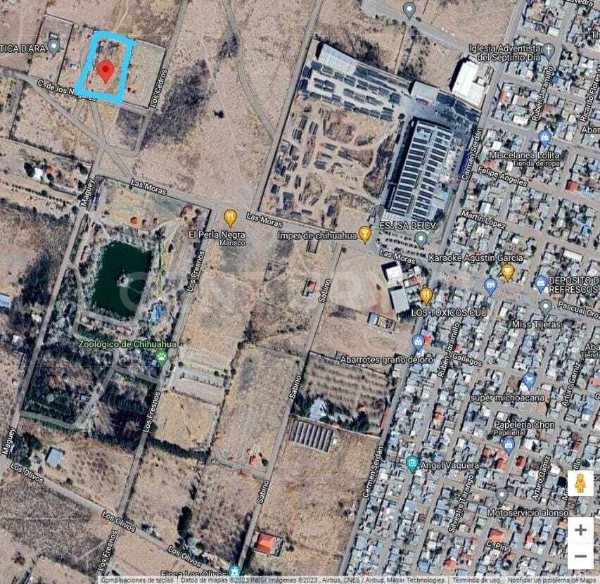 Calle de los Nogales, resto del lote 39 Zona A lote 39, Aldama, Chihuahua 32918, México