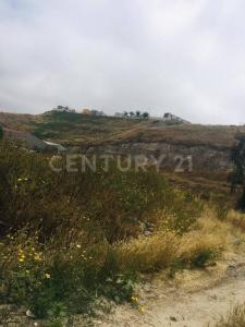 CUAUHTEMOC SUR 22720, Tijuana, Baja California 22645, Mexico