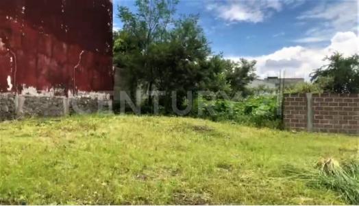 Manzana 15 lote 19, Xochitepec, Morelos 62790, Mexico