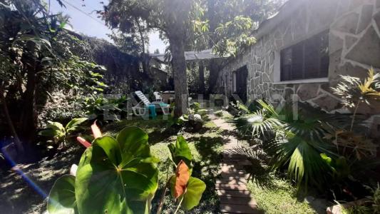 la selva , Yautepec, Morelos 62734, Mexico