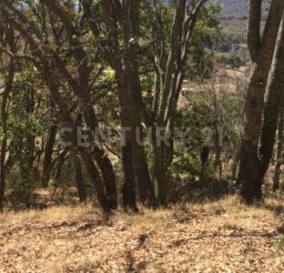 Camino damate S/N, Chapa De Mota, Estado De México 54358, Mexico