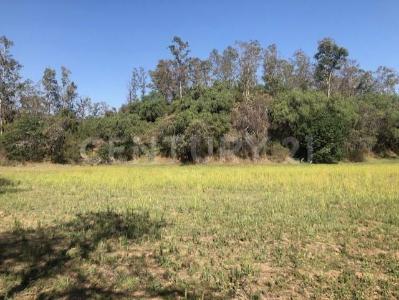 CAMINO VECINAL A CUATITLAN 0, Xochimilco, Ciudad De México 16200, Mexico