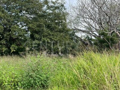 Tampico, Tamaulipas 89364, Mexique