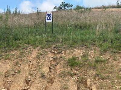 Tract 28 Pittsburg Landing, Londres, Kentucky 40741, Estados Unidos