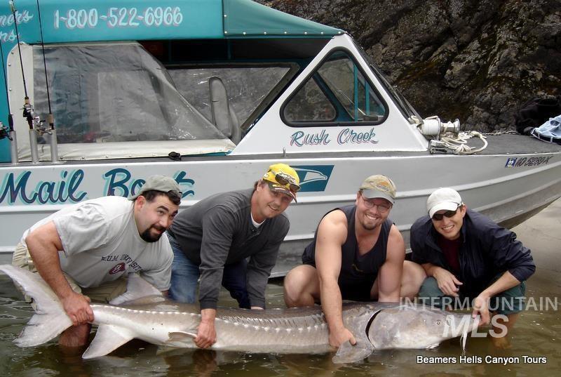 1345 Port Drive, Clarkston, 华盛顿州 99403, 美国