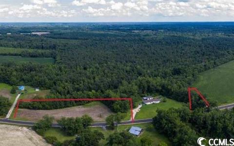 Tbd Long Branch Swamp Rd., Green Sea, SC 29545, USA