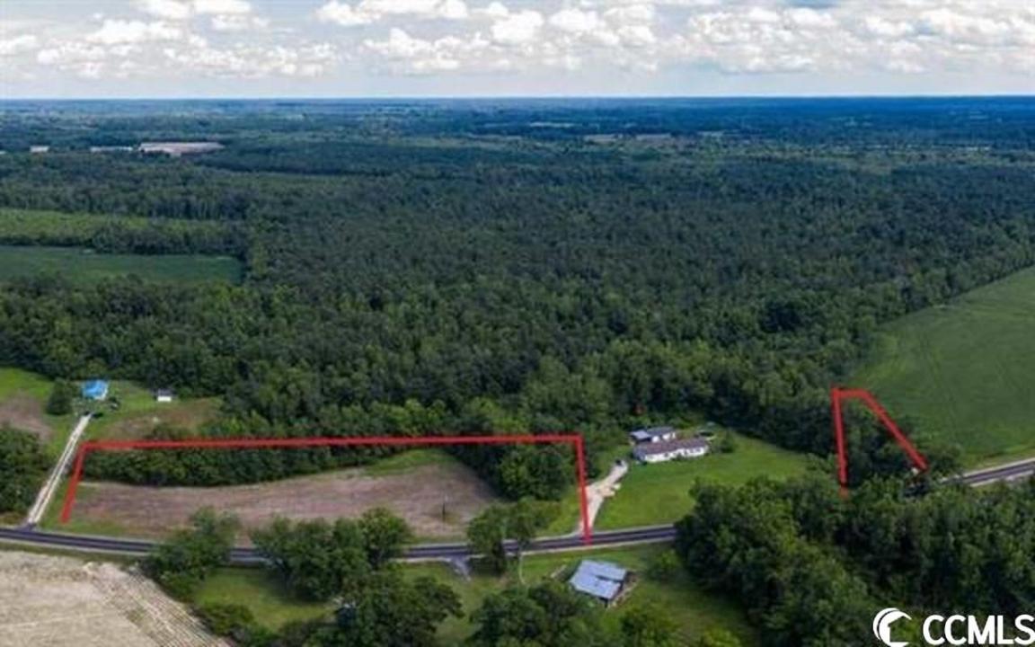 Tbd Long Branch Swamp Rd., Green Sea, דרום קרוליינה 29545, ארצות הברית של אמריקה