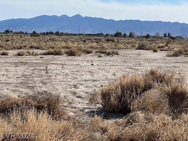 771 North Buckhorn Road, Pahrump, Nevada 89060