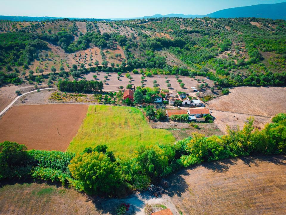 Torres Novas, Santarem 2350-084, Portekiz