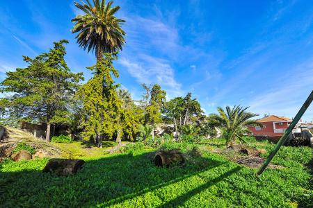 Almada, Setubal 2825-871, Portugal