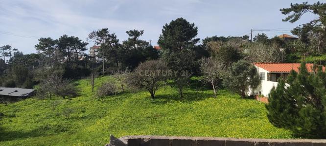 Figueira Da Foz, 科英布拉 3080-217, 葡萄牙