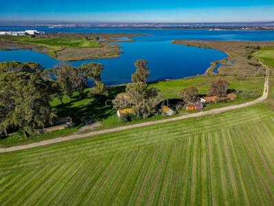 Moita, Setubal 2860-354, Portogallo