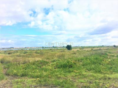 Moita, Setúbal 2860-354, Portugal