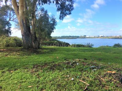 Moita, Setúbal 2860-354, Portugal