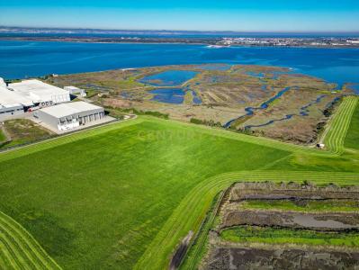 Moita, Setúbal 2860-354, Portugal