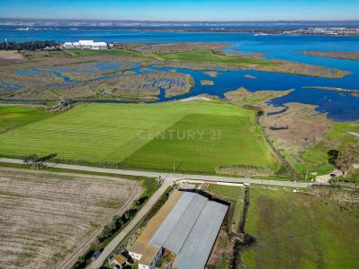 Moita, Setúbal 2860-354, Portugal