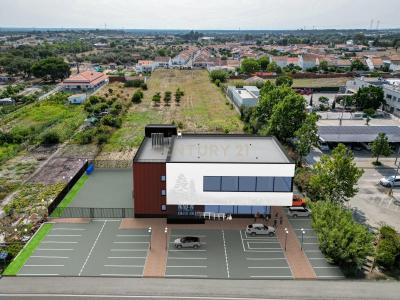 Grândola, Setubal 7570-245, Portugal