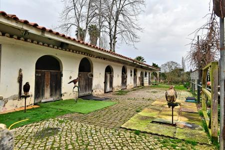 Sintra, Lisbona 2725-079, Portogallo