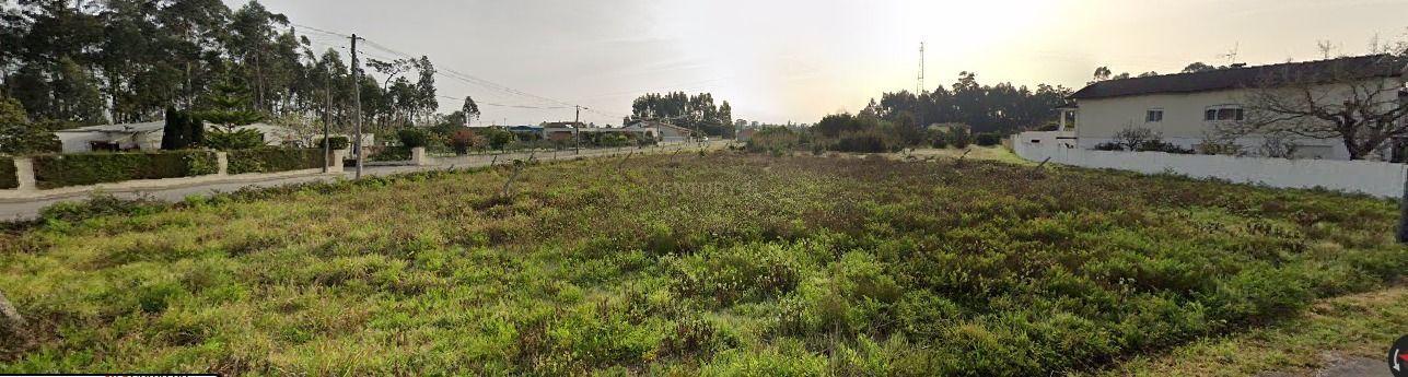 Vagos, Aveiro 3840-909, Portugal