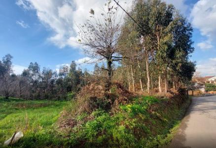 Albergaria A Velha, 아베이루 3850-587, 포르투갈