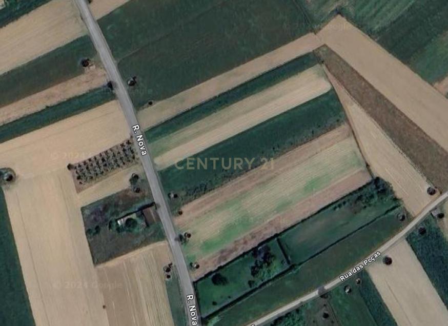 Vagos, Aveiro 3840-382, Portugal