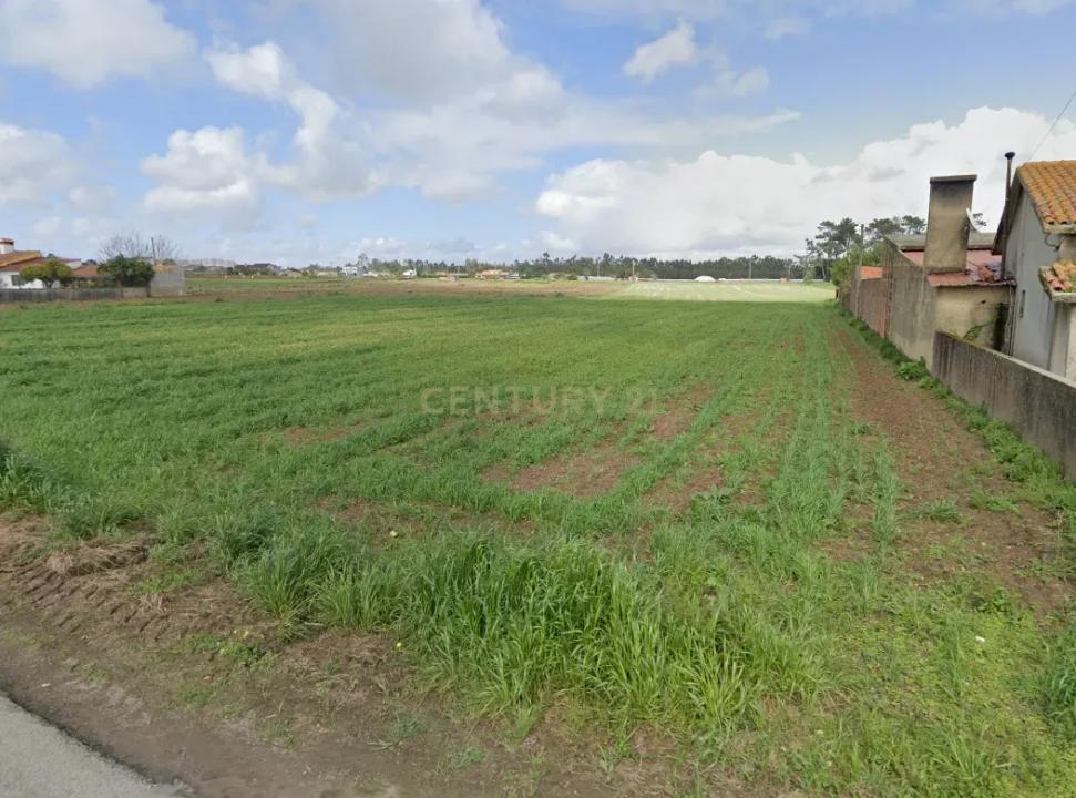 Vagos, Aveiro 3840-382, Portugal