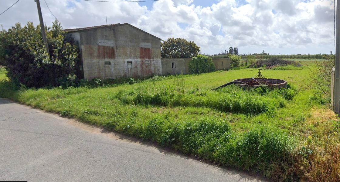 Vagos, Aveiro 3840-341, Portugal