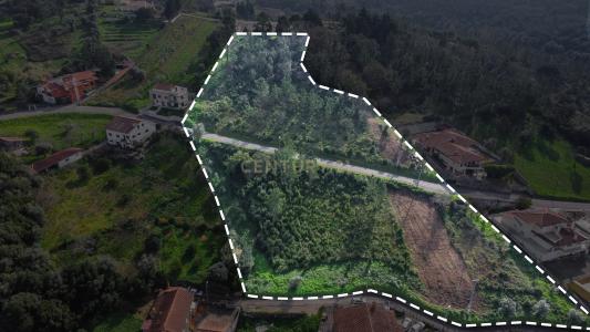 Coimbra, Coimbra 3020-181, Portugal