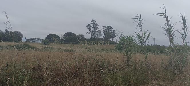 세투발, 세투발 2910-241, 포르투갈