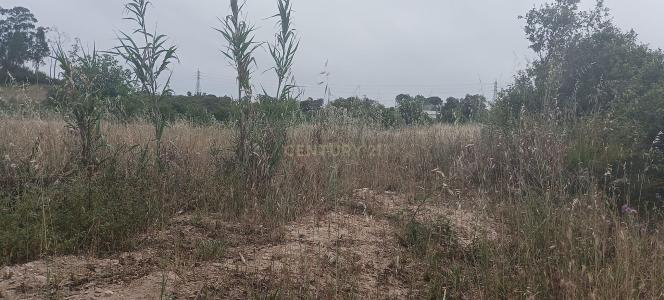 세투발, 세투발 2910-241, 포르투갈