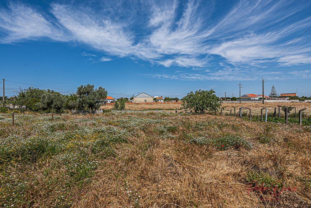 Moita, Setubal 2860-552, Portugal