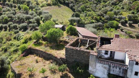 Armamar, Viseu 5110-673, Portugal