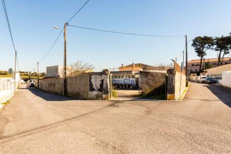 Cascais, 葡京 2645-325, 葡萄牙