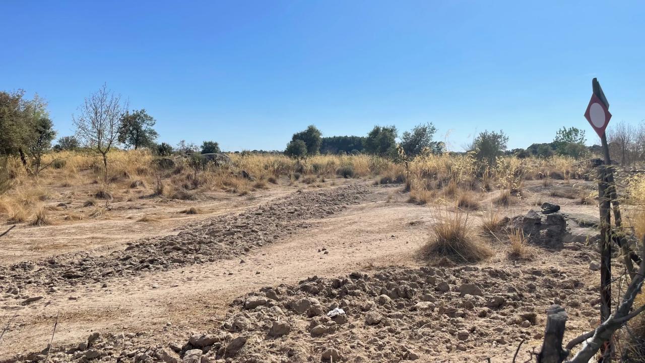 Castelo Branco, Castelo Branco 6000-000, Portugal