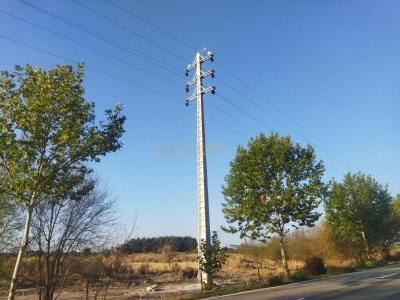 Castelo Branco, Castelo Branco 6000-000, Portugal
