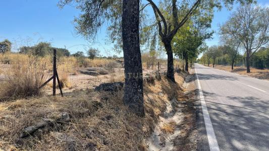 Castelo Branco, Castelo Branco 6000-000, Portugal