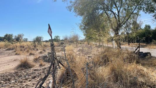 Castelo Branco, Castelo Branco 6000-000, Portugal