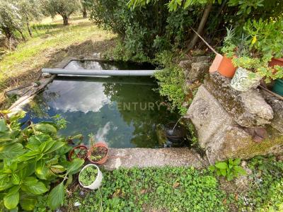 Fundão, Castelo Branco 6230-065, Portugal