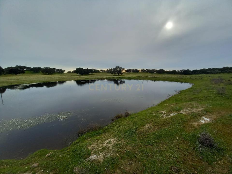 Idanha A Nova, Castelo Branco 6060-543, Portugal