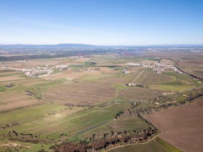 Golegã, סנטרם 2150-064, פורטוגל 