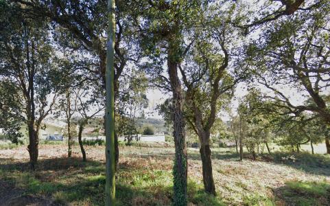 Espinho, Aveiro 4500-491, Portugal