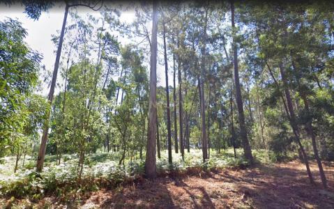 Espinho, Aveiro 0000-000, Portugal