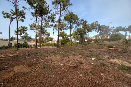 Almada, 세투발 2820-565, 포르투갈