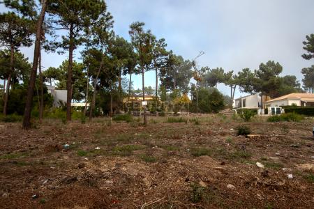 Almada, 세투발 2820-565, 포르투갈