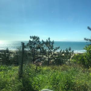 Almada, Setubal 2820-565, Portugal