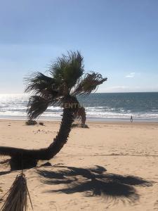 Almada, 세투발 2820-565, 포르투갈